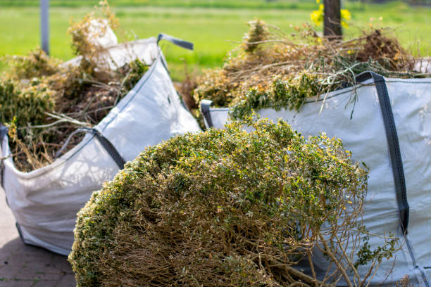 Best Electronics Removal Services  in Ironton, OH